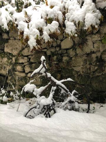Les Sorbiers Bed & Breakfast Bareges